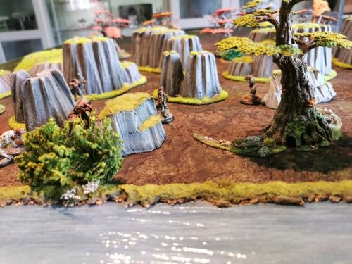 IMG 20210513 155445 (1)