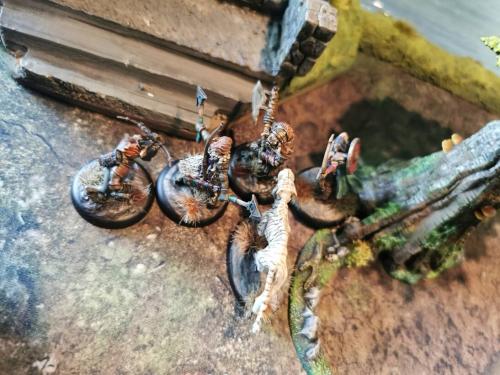 IMG 20210513 170030 (1)