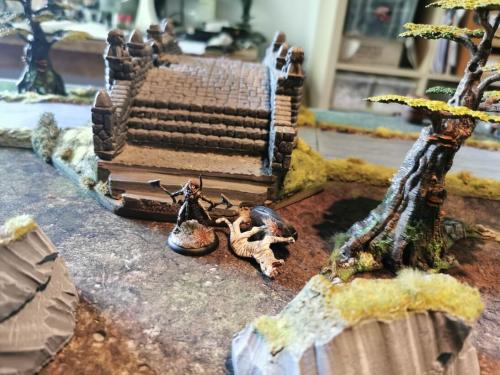 IMG 20210513 171755 (1)