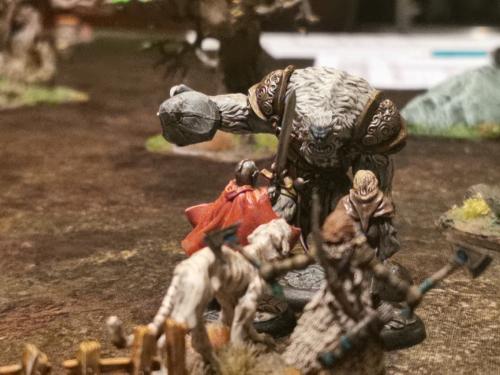 image010 (1) (1) (1)